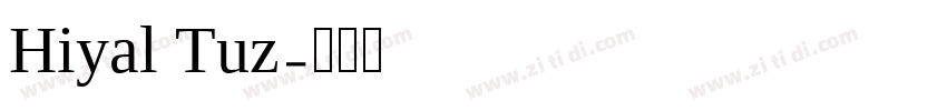Hiyal Tuz字体转换